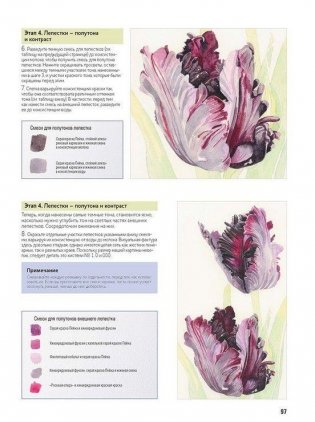 Основы ботанической живописи акварелью. Практические рекомендации и пошаговые описания фото книги 7