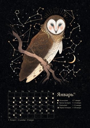 Календарь до 2025 года «Легенды темного леса». Лиса фото книги 3