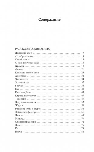 Кладовая солнца фото книги 2