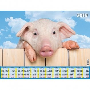 Календарь настенный на 2019 год "Символ года", 450х590 мм фото книги