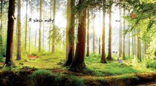 Таинственный лес и его обитатели фото книги 5