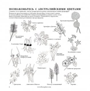 Флоросфера. Умиротворение фото книги 4