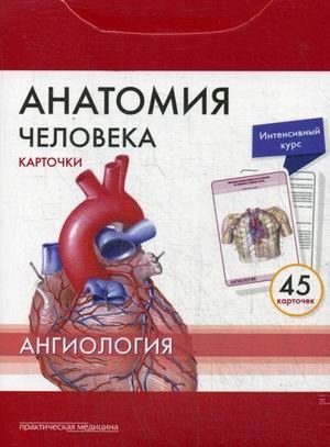 Анатомия человека. Ангиология. Карточки (45 штук) фото книги