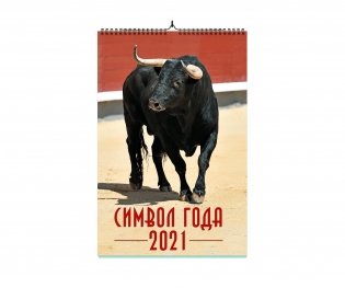 Календарь на спирали на 2021 год "Символ года 2" фото книги