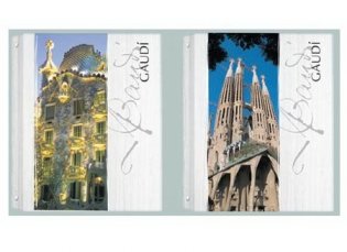 Тетрадь на кольцах "Gaudi", 80 листов, клетка фото книги