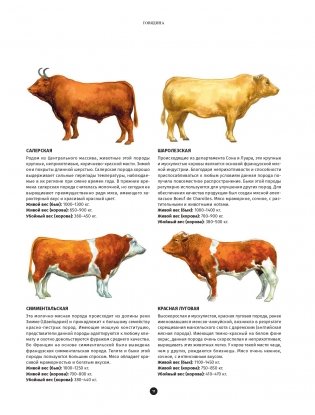Мясо. Полное иллюстрированное руководство фото книги 8