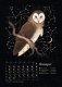 Календарь до 2025 года «Легенды темного леса». Лиса фото книги маленькое 4