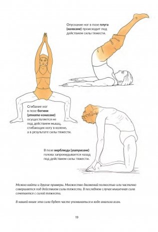Анатомия йоги. Как работают мышцы фото книги 3
