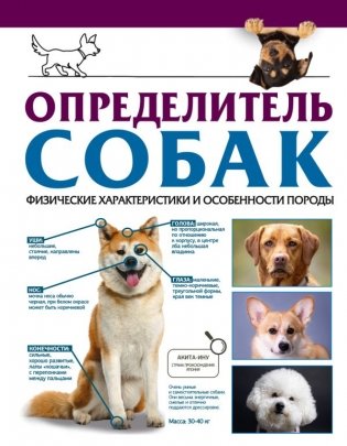 Определитель собак. Физические характеристики и особеннности породы фото книги