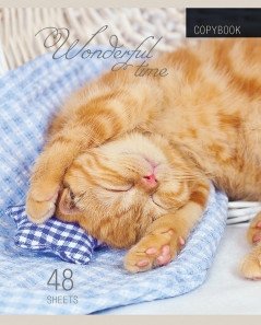 Тетрадь "Котята и пледы", А5, 48 листов, клетка фото книги 3