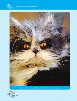 Жизнь замечательных котов фото книги 9