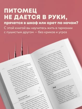Кошачий закон и порядок. Как найти общий язык с кошкой и не стать жертвой ее капризов фото книги 8