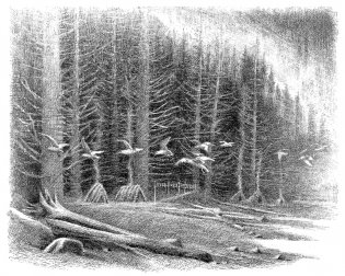 Хроники темных времен. Книга 9. Волчья погибель фото книги 4