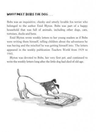 Bones and Biscuits. Letters from a Dog Named Bobs фото книги 5