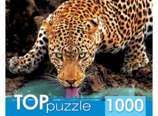 Пазлы "Toppuzzle. Красивый леопард", 1000 элементов фото книги