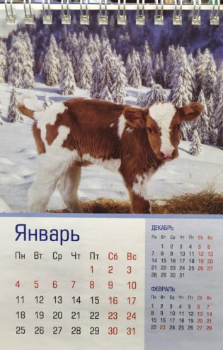 Календарь-домик на 2021 год "Стандарт. Год Быка", 105x160 мм фото книги 3