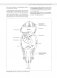 Анатомия йоги: раскраска. Изучите форму и биомеханику более чем 50 асан фото книги маленькое 12