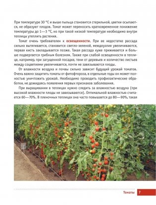 Все о томатах и огурцах от Октябрины Ганичкиной фото книги 7