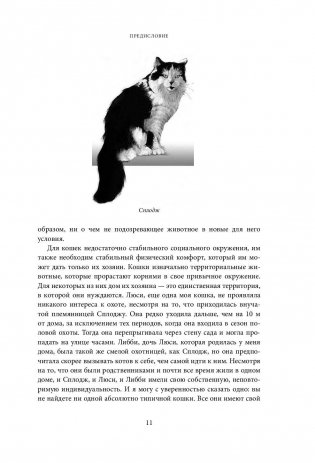 Тайная жизнь кошки. Как понять истинную природу питомца и стать для него лучшим другом фото книги 10