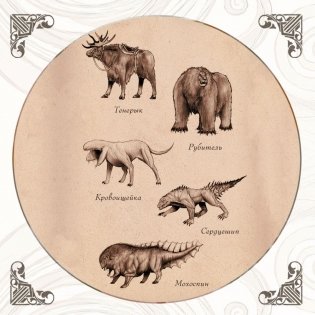 Семена войны фото книги 5