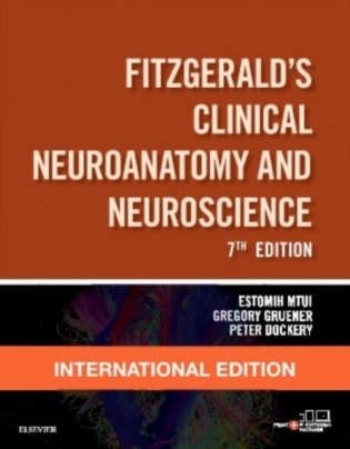 Fitzgerald's Clinical Neuroanatomy And Neuroscience, 7th edition фото книги