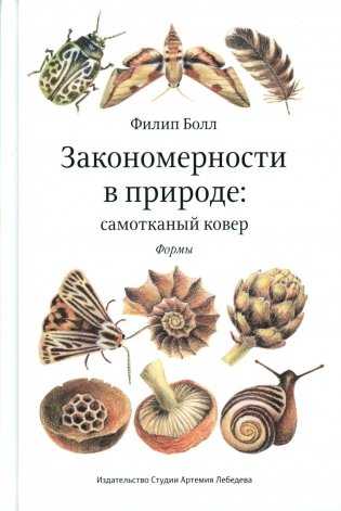 Закономерности в природе: самотканый ковер: В 3 ч.: Ч. 1: Формы фото книги