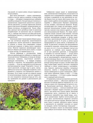 Большая иллюстрированная энциклопедия лекарственных растений фото книги 7