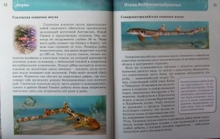 Акулы. Энциклопедия фото книги 8