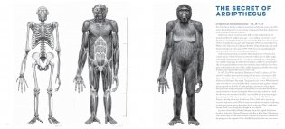 Jay Matternes фото книги 5