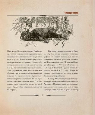 Царские охоты в Беловежской пуще фото книги 6