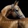 Golden Horse. The Legendary Akhal-Teke фото книги маленькое 2