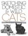 Sketching Domestic and Wild Cats: Pen and Pencil Techniques фото книги маленькое 2