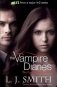 Vampire Diaries 3 & 4 фото книги маленькое 2