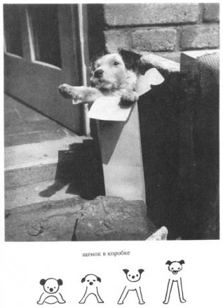 Дашенька, или история щенячьей жизни фото книги 2