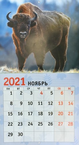 Календарь настенный перекидной на 2021 год "Символ года. Дизайн 1" фото книги 3