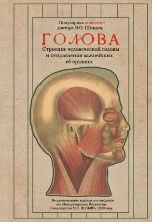 Голова. Строение человеческой головы и отправления важнейших её органов фото книги