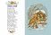 Басни фото книги маленькое 5
