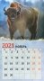 Календарь настенный перекидной на 2021 год "Символ года. Дизайн 1" фото книги маленькое 4