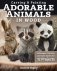 Carving & Painting Adorable Animals in Wood: Techniques, Patterns, and Color Guides for 12 Projects фото книги маленькое 2