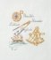 Французская вышивка крестом. Морские и летние сюжеты Вероник Ажинер фото книги маленькое 4