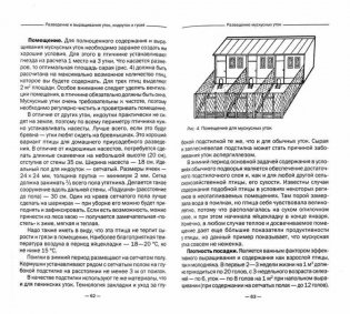 Разведение и выращивание уток, индоуток и гусей обычных пород и бройлеров фото книги 2