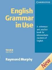 English Grammar in Use without answers фото книги