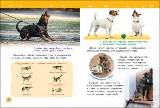 Собаки и щенки. Энциклопедия для детского сада фото книги 3