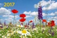Календарь квартальный на 2017 год "Солнечная поляна" фото книги