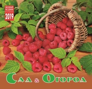 Календарь на 2019 год "Сад и огород" (КР10-19122) фото книги
