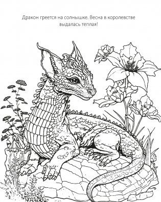 Романтика фото книги 6