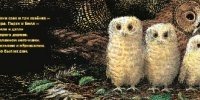 Совята ждут маму фото книги 2