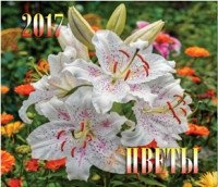 Календарь на 2017 год "Цветы", настольный, 12 листов фото книги