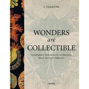 Wonders Are Collectible: Taxidermy: The Beauty of Beetles, Bugs and Butterflie фото книги