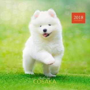 Календарь настенный перекидной на 2018 год "Символ года. Милые щенки" фото книги